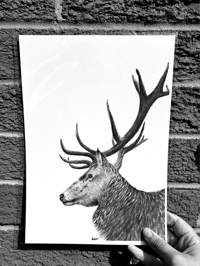 Stag A4 Print