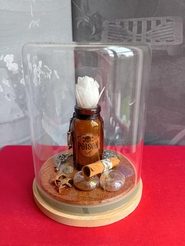 D25 Mini pirate blanc