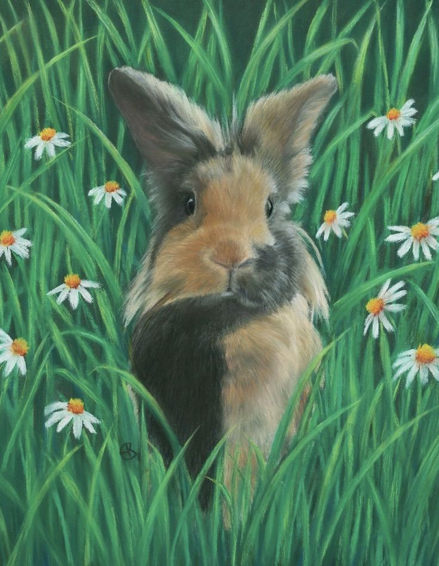 Greeting Card  'NIJNTJE'  (Konijnenparadijs)