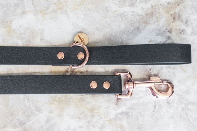 Meteor Leash