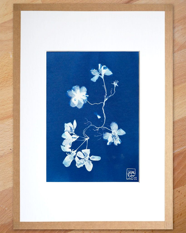 Cyanotype "Hybride en bleu n°9"