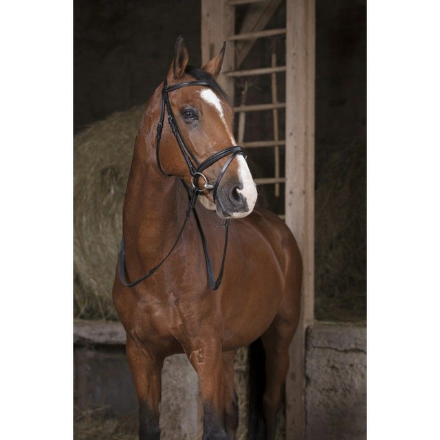 RÊNES CAOUTCHOUC NORTON PRO