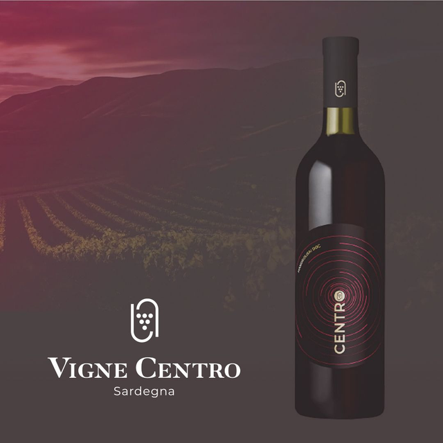 Centro Mandrolisai DOC (bottiglia 75 cl)