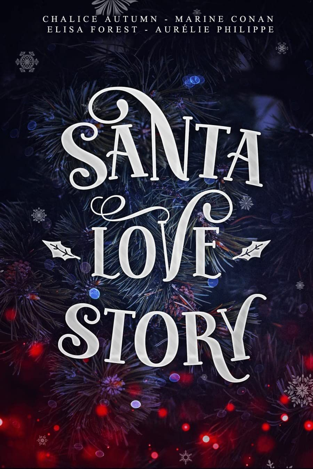 Santa Love Story 
