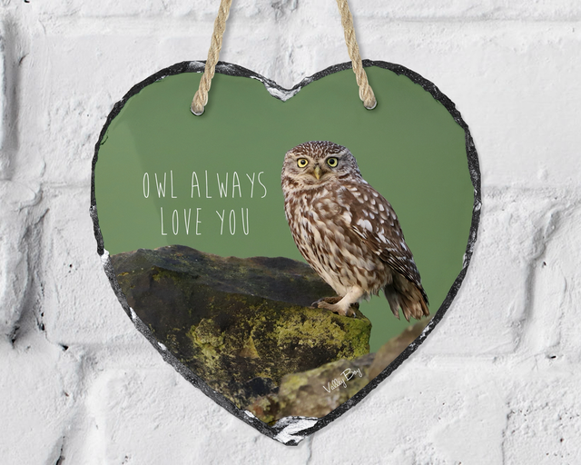 “Owl Always Love You - Little Owl” Heart Slate   