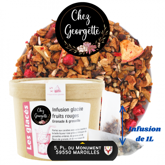 INFUSION GLACÉE FRUITS ROUGES - Pot de 5 Inf. XL