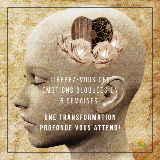 Programme Prémium " Libération Emotionnelle en 6 semaines "