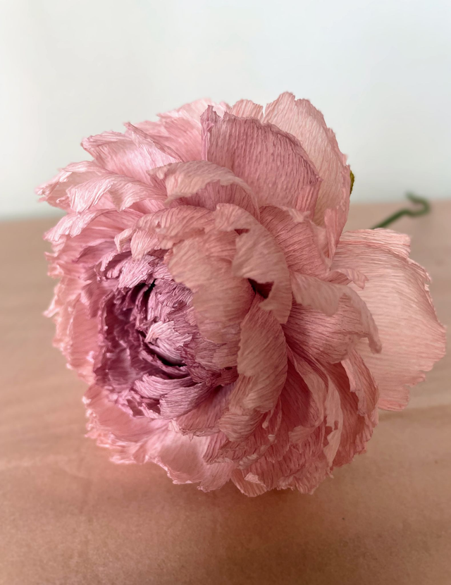 Pivoine "Almaé" avec son vase artisanal offert