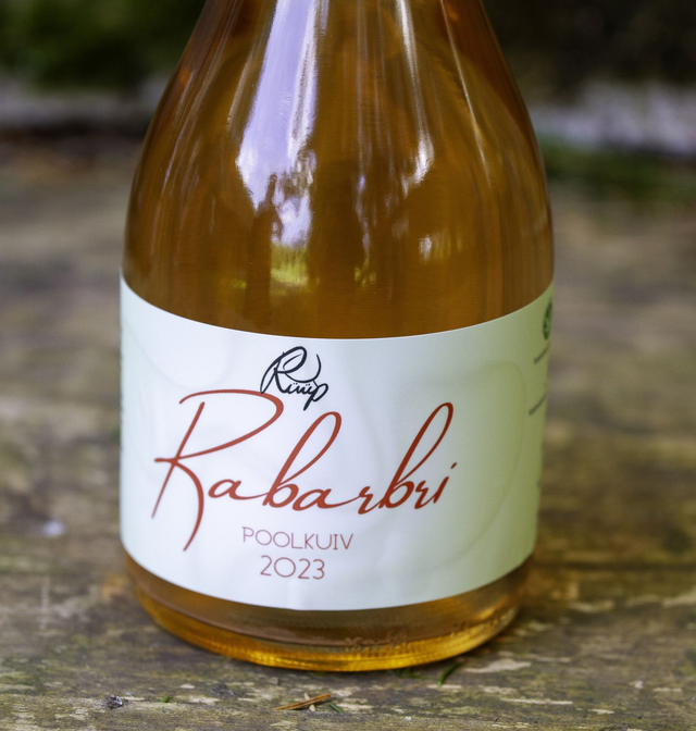 RABARBRI vahuvein gaseeritud