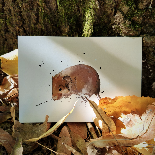 Carte CAMPAGNOLE - Formats A6