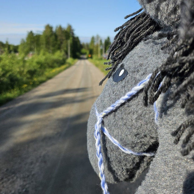 Keppari aasi - hobbydonkey