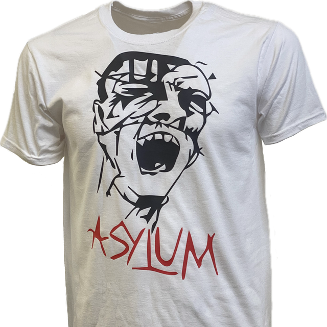 Original 1980 Design Asylum T Shirt