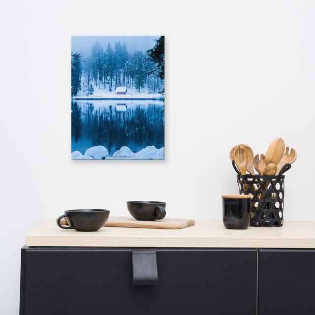  Canvas house magic winter 