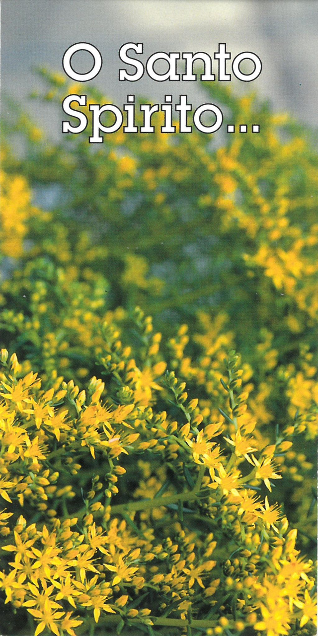 Cartoncino O Santo Spirito... 