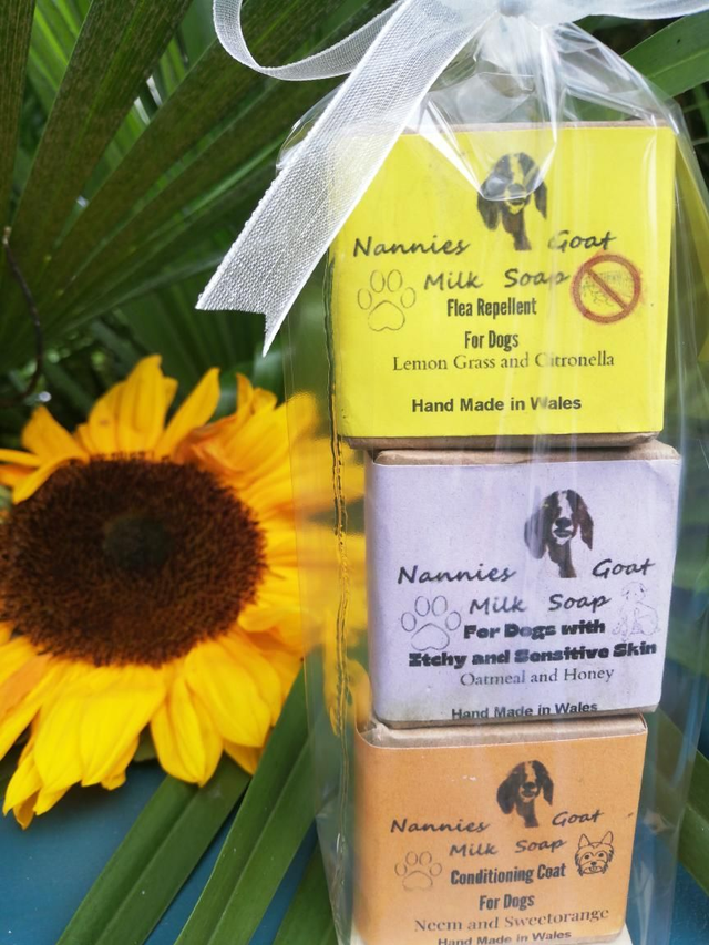 All Three Dog Soaps Special Offer