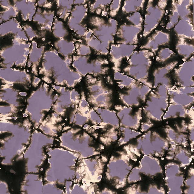 Abstract Chemigram with Tape