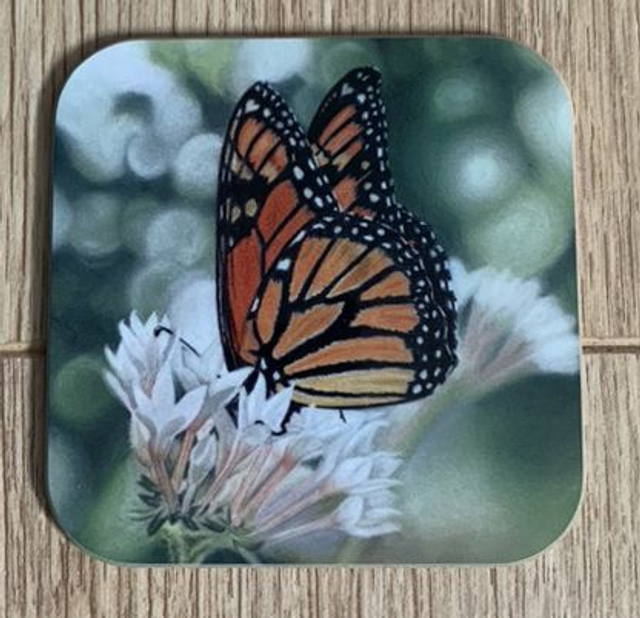 Coaster - Monarch Butterfly design