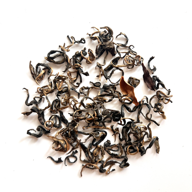 Snow Shan Red Wild Orchid