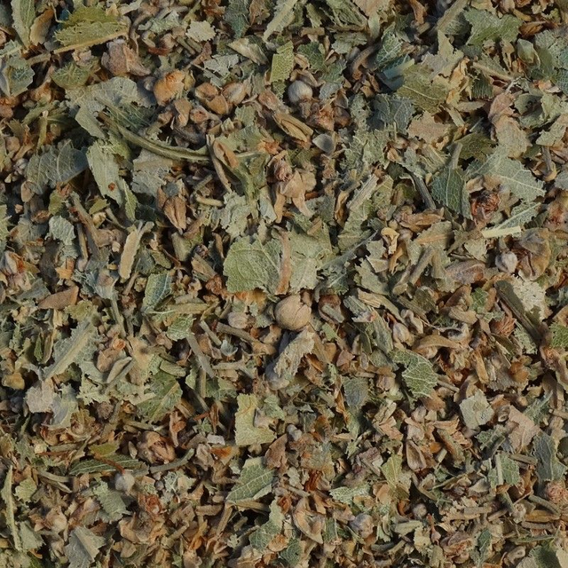 Lindebloesem (lime blossom) - BIO