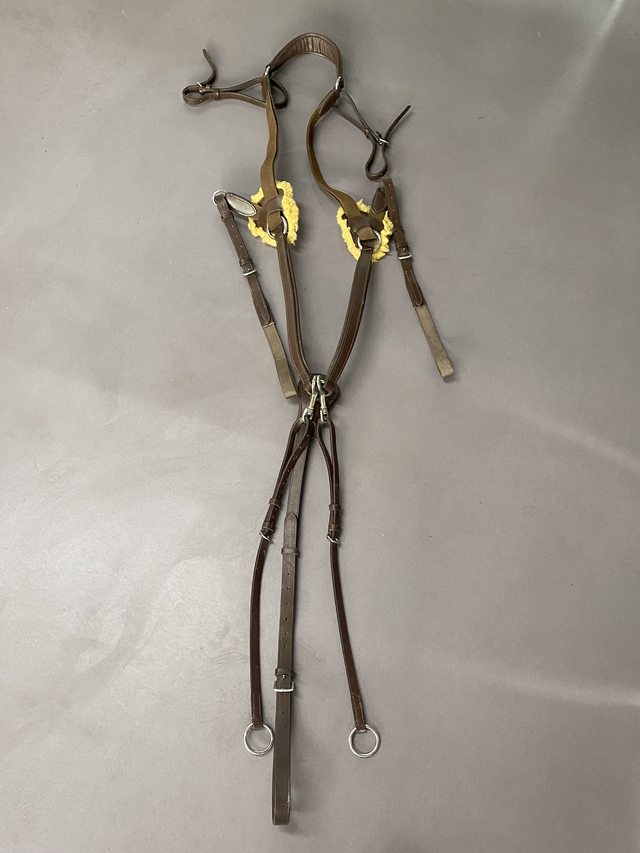 Collier de chasse cuir marron avec Martingale