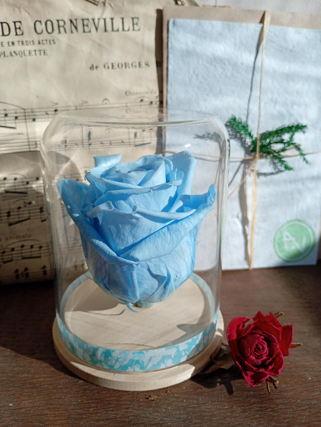 S05 unique rose bleu