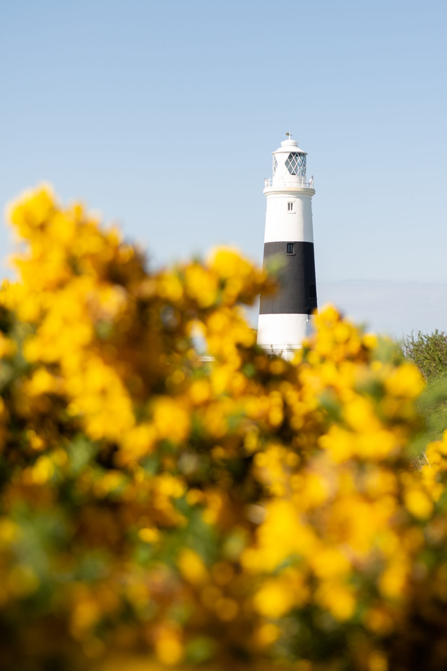 The lighthouse