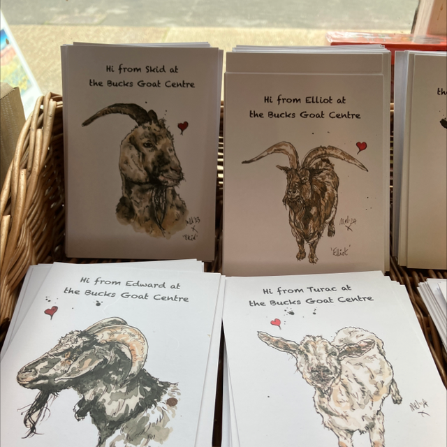Goat Postcards 