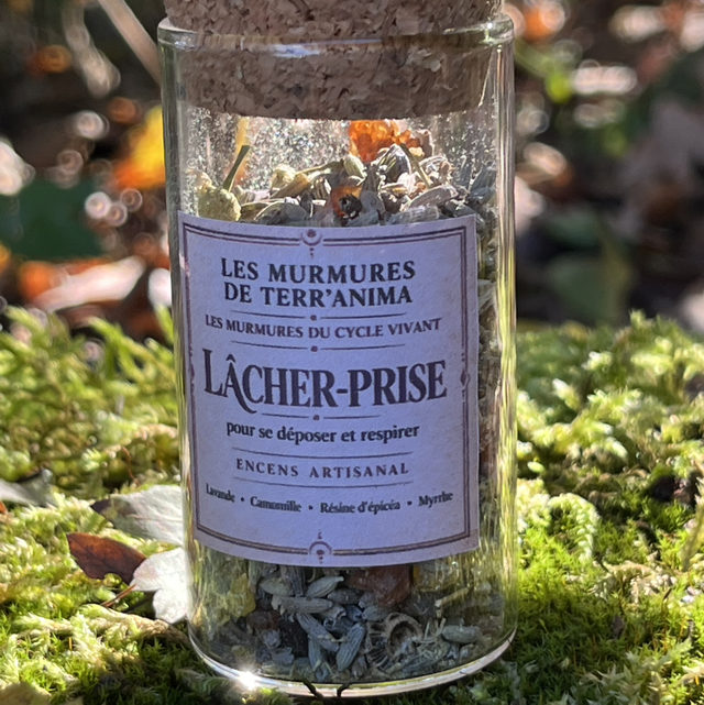 Encens "LÂCHER-PRISE"