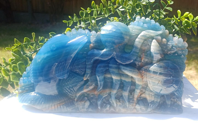 Blue Onyx Octopus, Dolphin, Fish Under the Sea