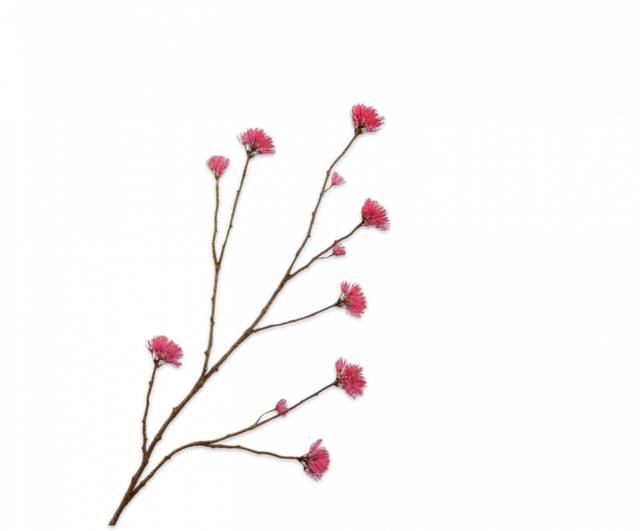 Silk-ka Bloesemtak Donker Roze 108cm