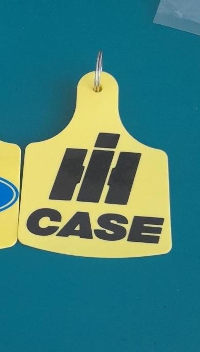 Case key ring