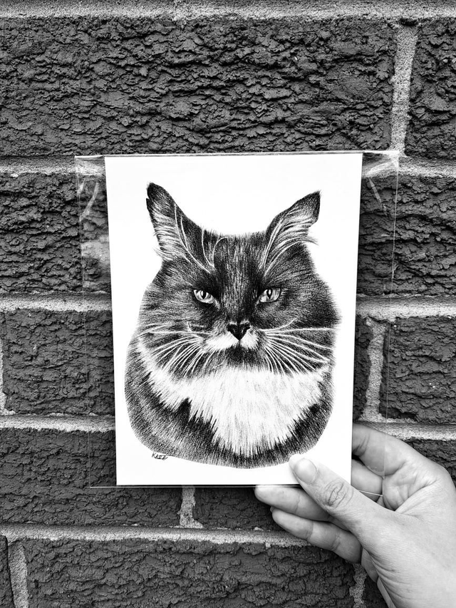 Black and White Cat Mini Print