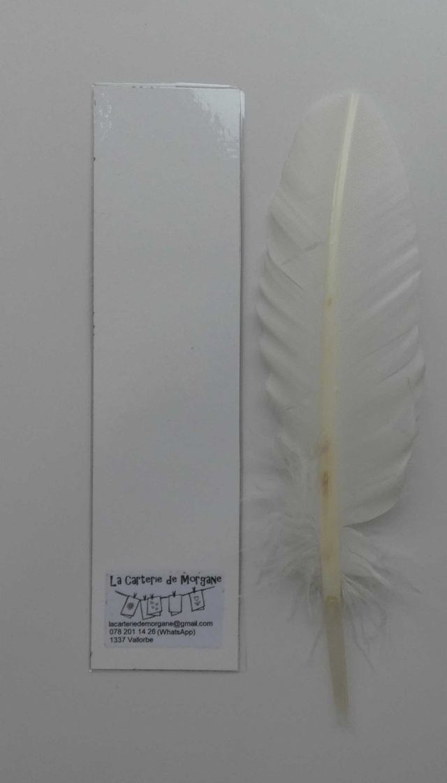 Le père noël du marque-page