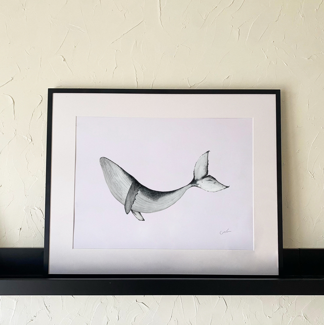 Ballena Jorobada 02