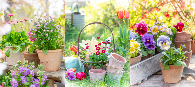 Trio 'Le temps des plantations' 