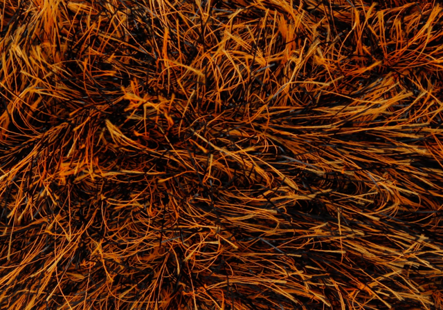 King Cole Tinsel Chunky 50g