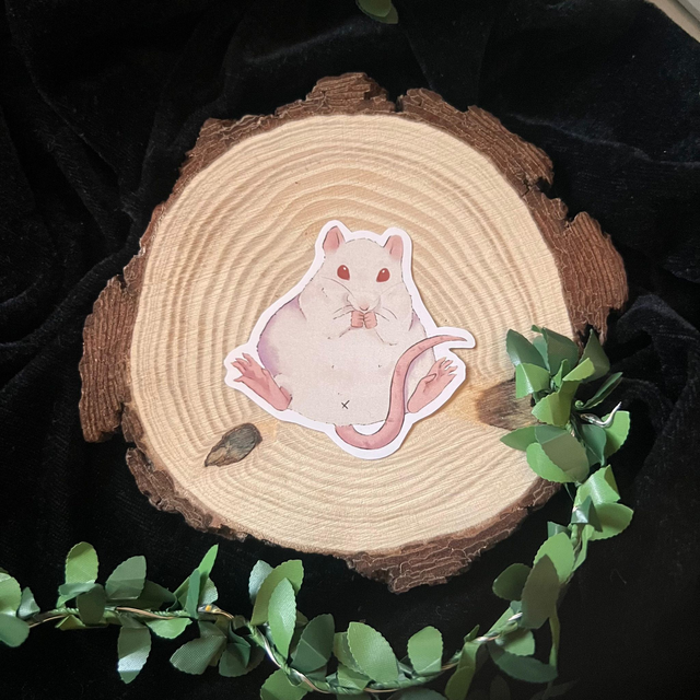 Sticker Rata // Rata blanca