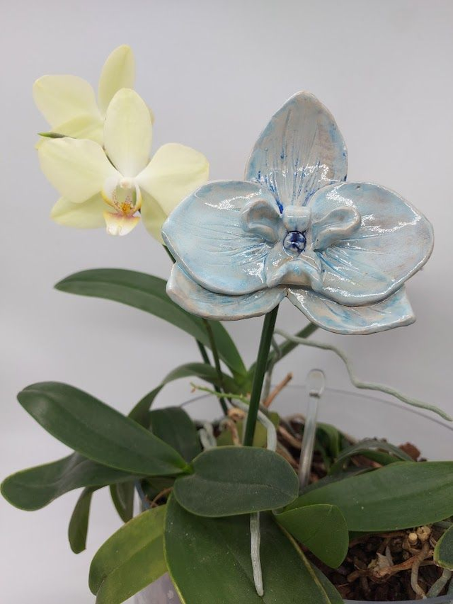 Ceramic Orchid Flower Wall Hanger  
