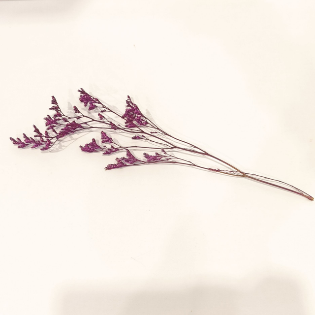Limonium stabilisé – Fleur naturelle légère pour bouquets et compositions florales durables