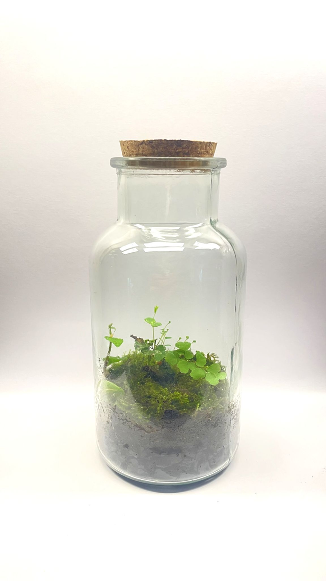 Biosphère bioactive potion