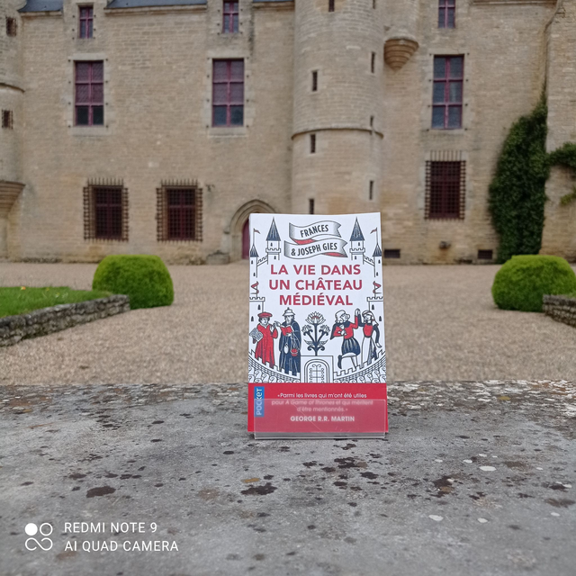 Livre - La vie dans un château médiéval