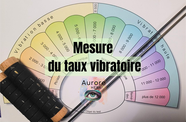 Mesure du taux vibratoire 
