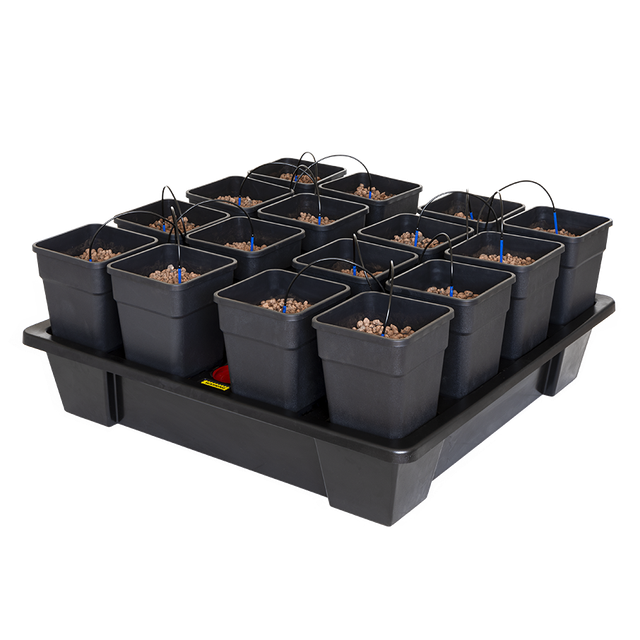 Wilma XXL 20 Complete 6.5L