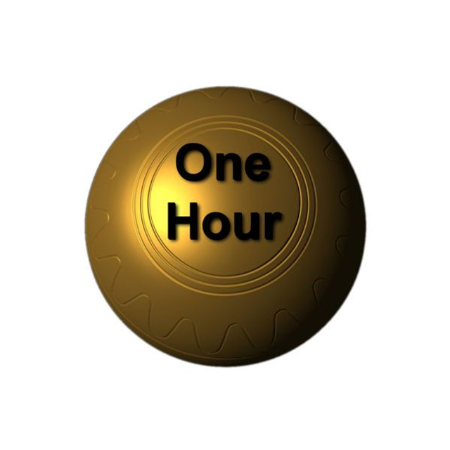 Indoor Part Rink Session (One Hour)