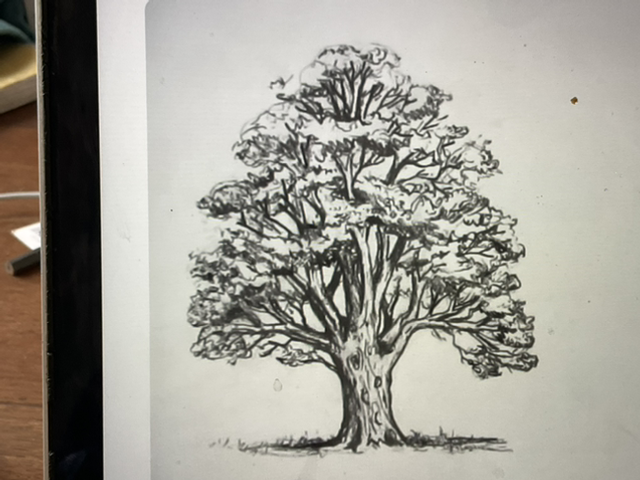 Abonnement : Le dessin en 10 séances de 2h