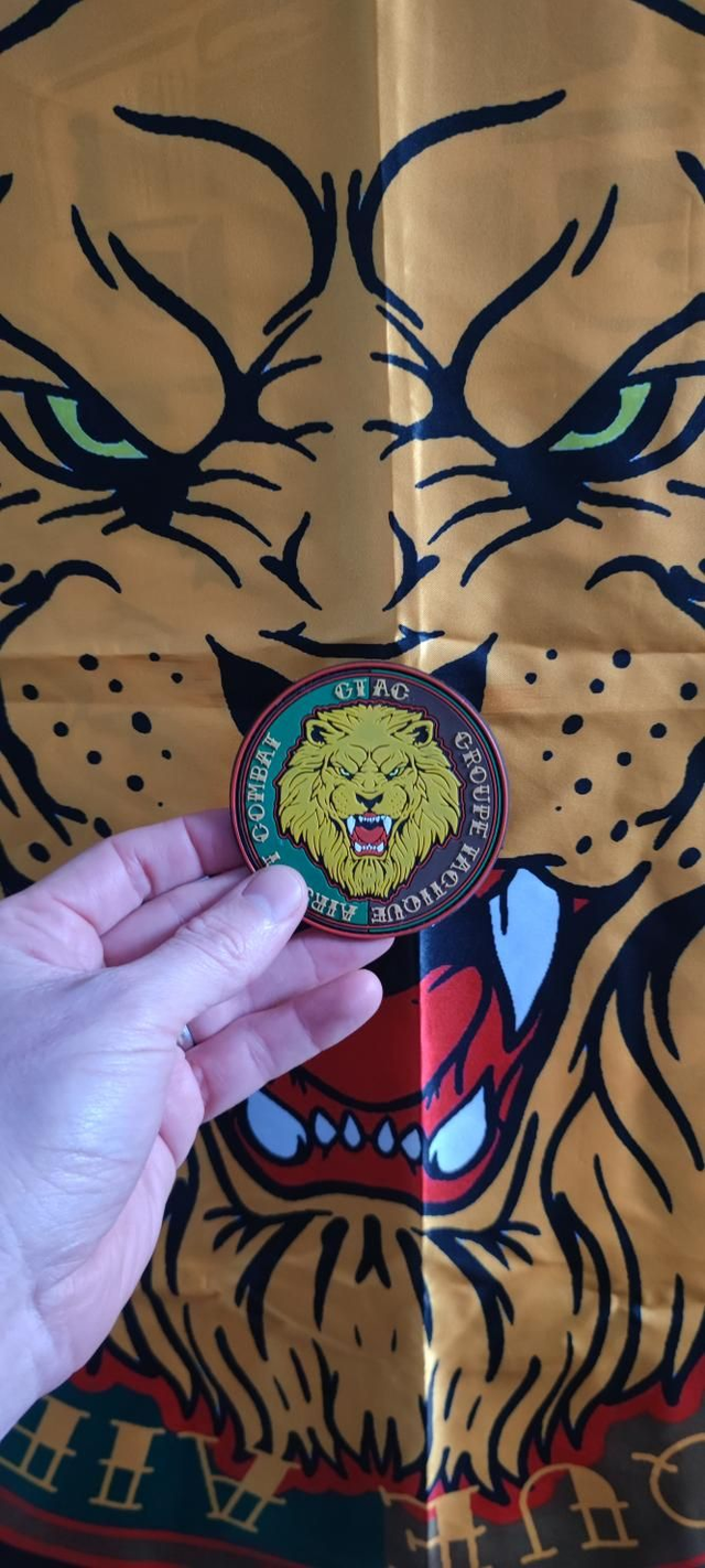 Pack Team : 1 logo + 25 patchs pvc + 1 drapeau