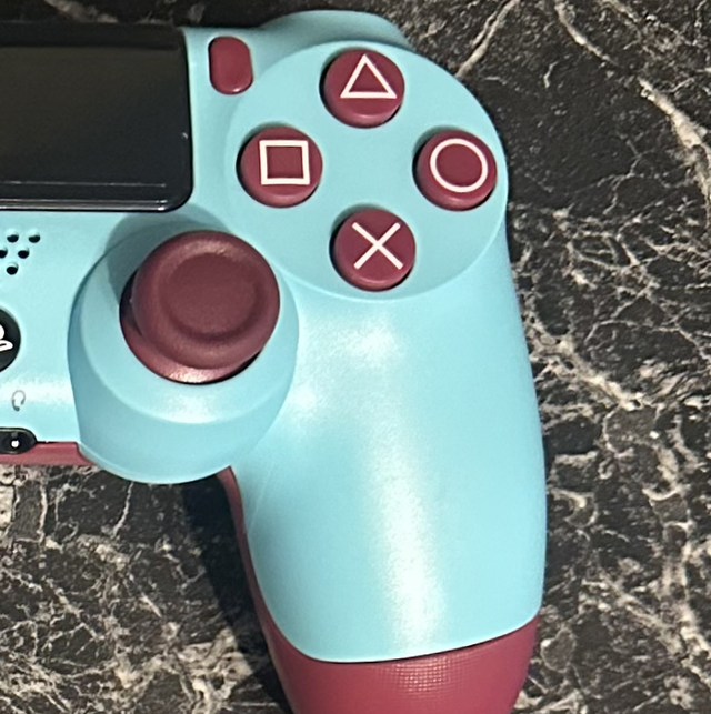 Controller für PS4
