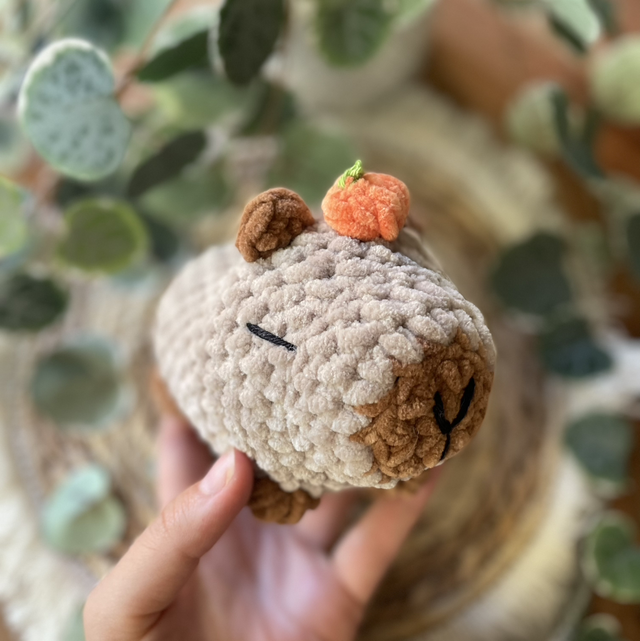 Capybara 🍊 