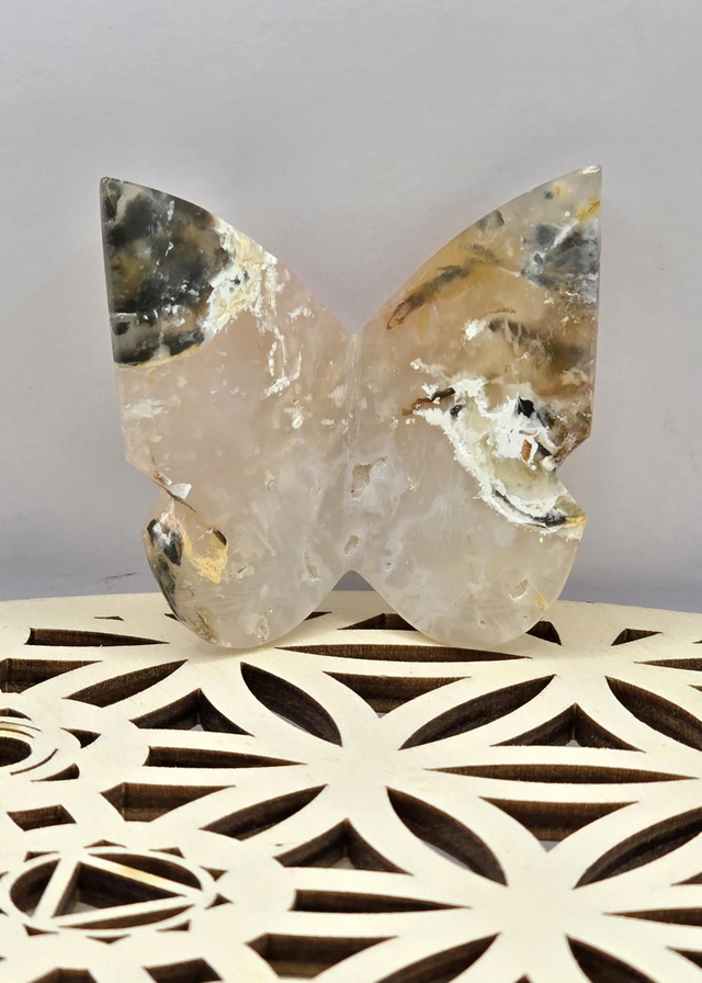 Agate dendritique papillon 