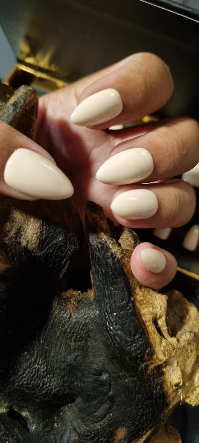 Sweet rose little amande xs 